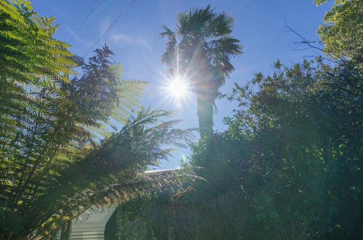 11 Opaki Road Masterton_22