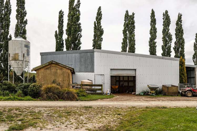 307 Okapua Road Chatton North_9