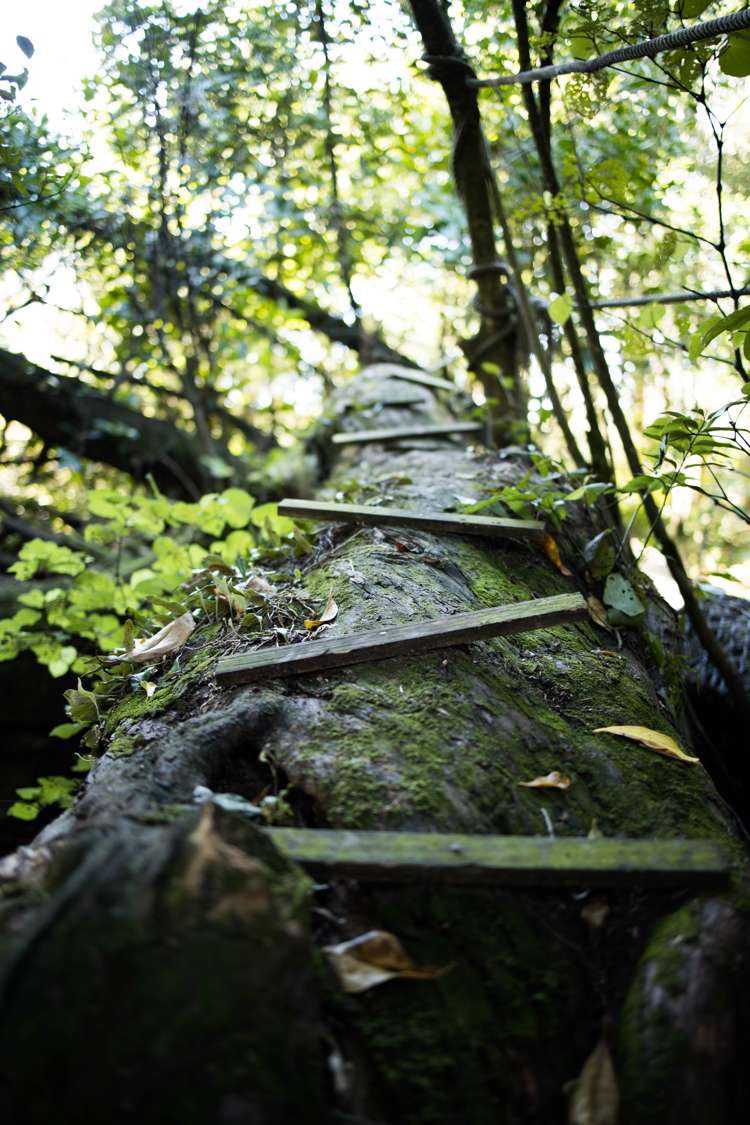 Wanganui Road Marton Rangitikei Rural Property For Sale One Roof