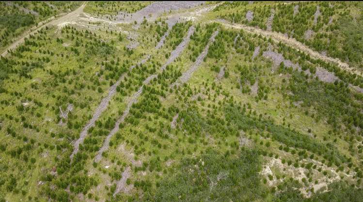 422 Glendhu Road Motunau_24