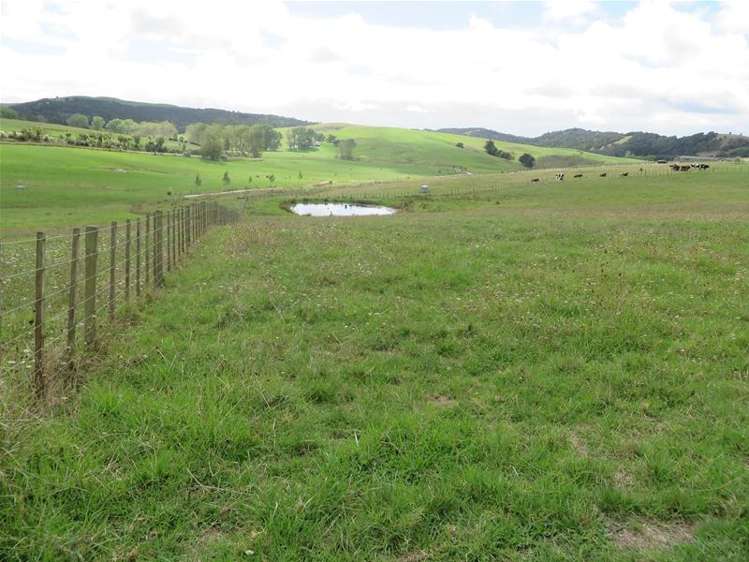 Ovens Road Matakohe_10