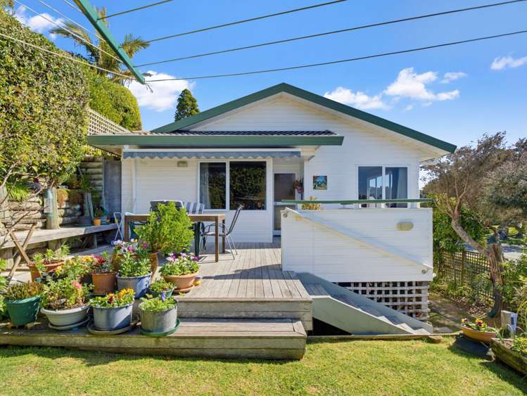 20A Pohutukawa Avenue_4