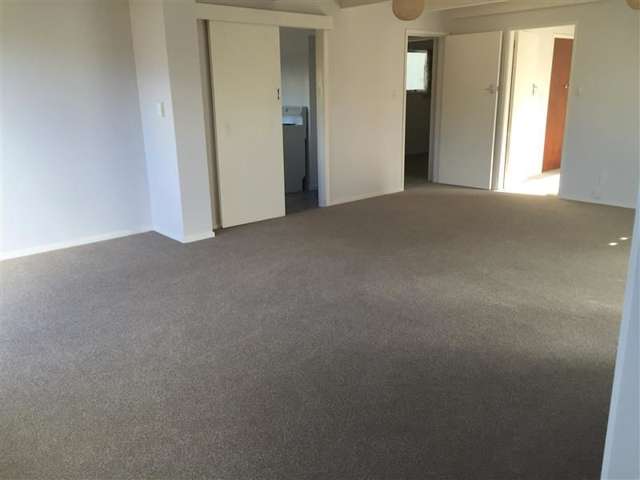 1/6 Poynter Street Blenheim Central_1