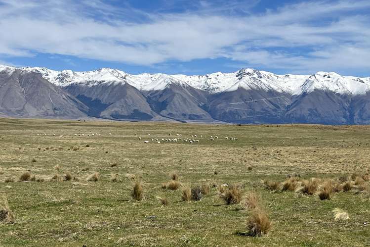 Ohau Downs Station Lake Ohau_6
