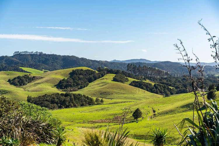 162 Brooks Road Waipu_16