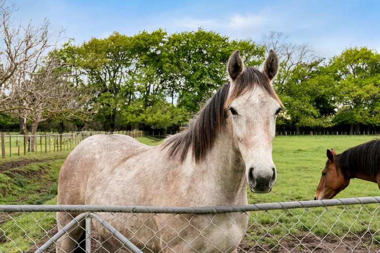 559 Raukawa Road Raukawa_25