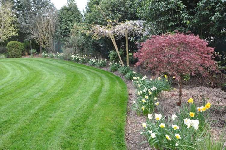 62 Rutland Street Riversdale_9