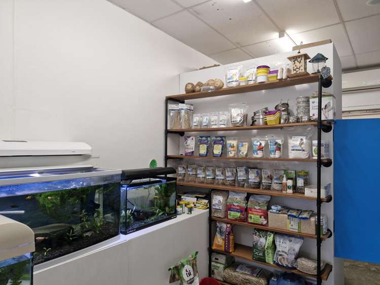 51 Alexandra Street Te Awamutu_5