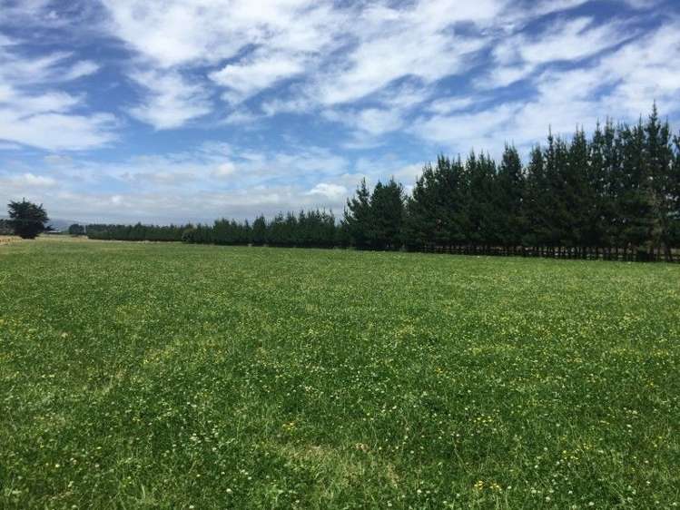 875 Roberts Line Bunnythorpe_6