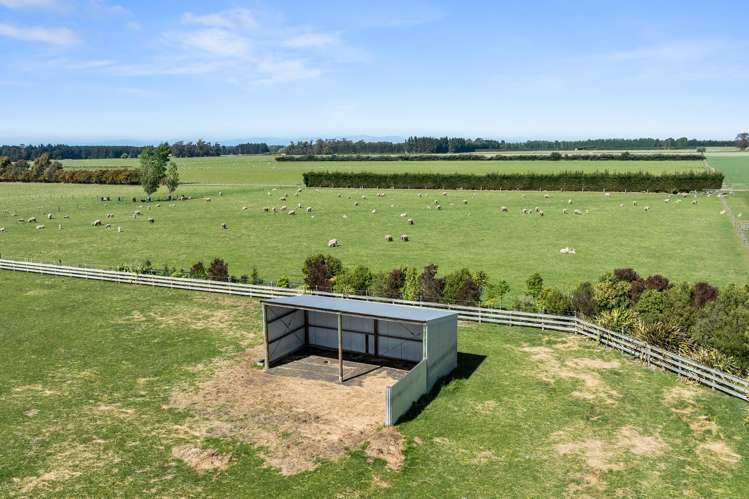 192 Terrace Road Leithfield_40