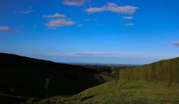 1042 Rangiuru Road Te Puke_6