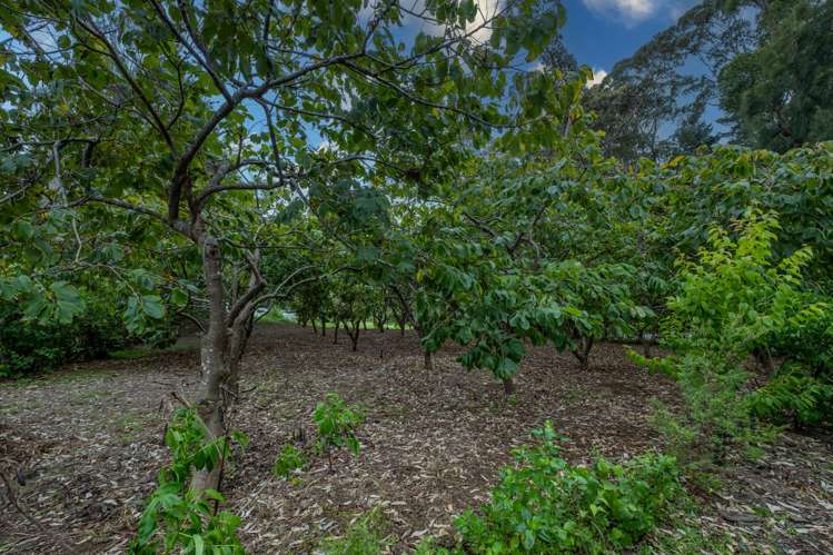 309A Larmer Road Kaitaia_24