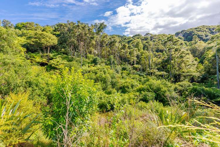 23 Wadham Road Ngaruawahia_7