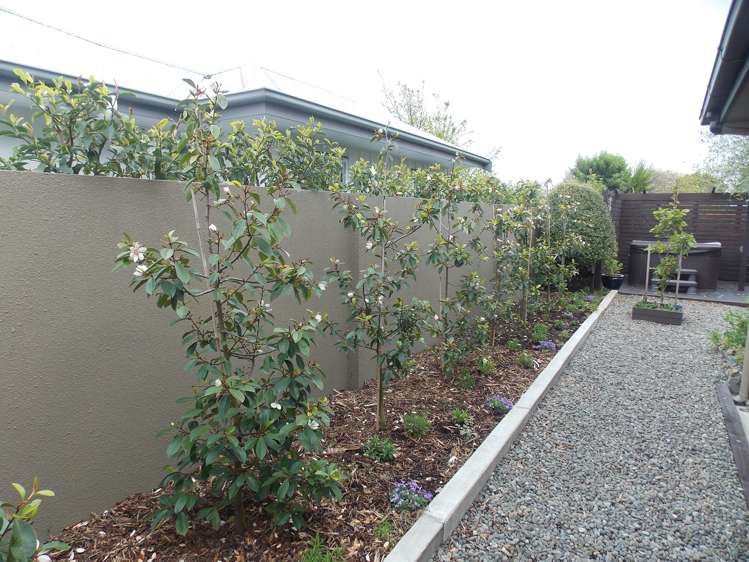 236 Albert Street Hokowhitu_13