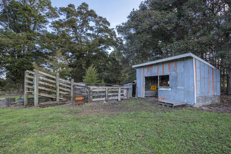 253 Cemetery Road Maunu_15