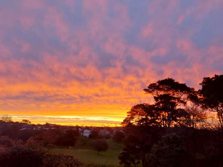 1/159 Norman Lesser Drive Saint Johns_25