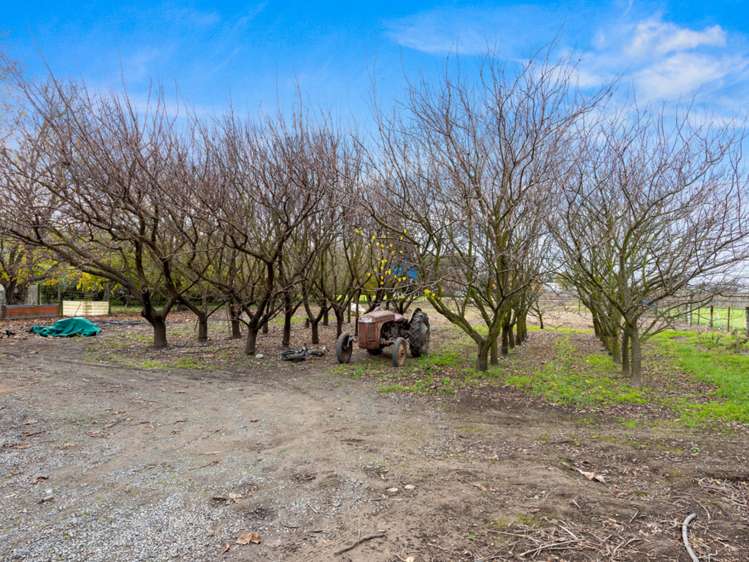 199 Battys Road Burleigh_14