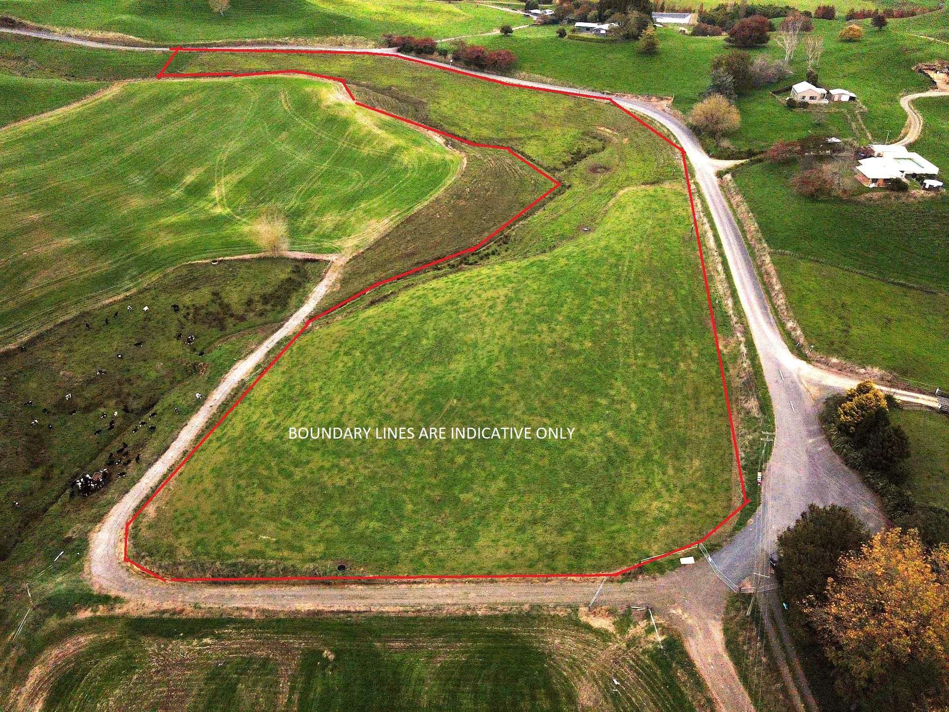 Overdale Road Putaruru_0