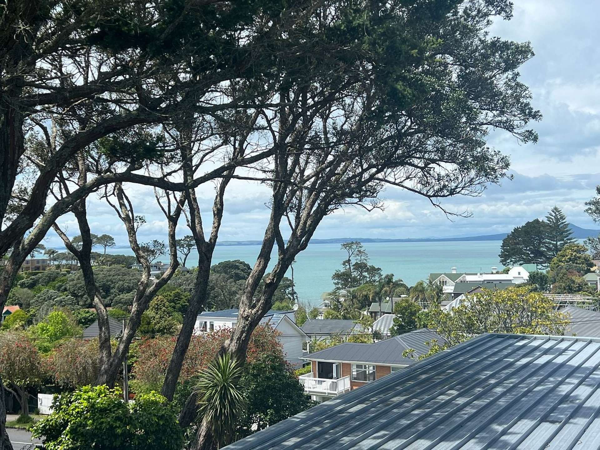2/8 Rewi Street Torbay_0