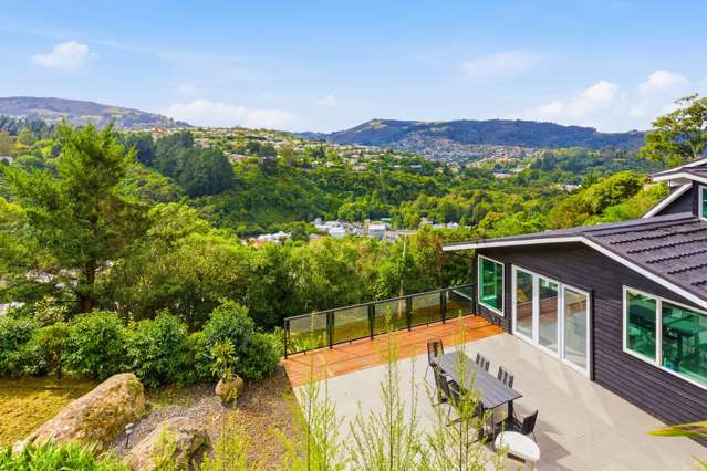 53 Braeview Crescent Maori Hill_1