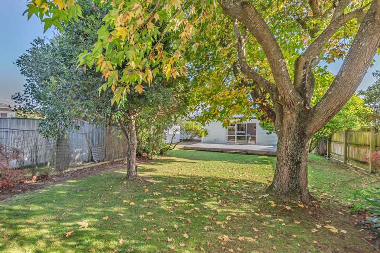 4 Gardener Street Levin_1