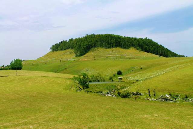 282 Pigs Head Road Whakapara_1