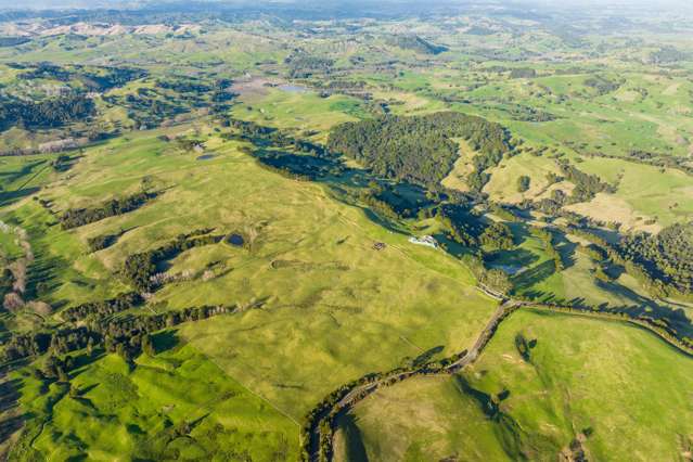 85 Lusk Road Ruawai_2