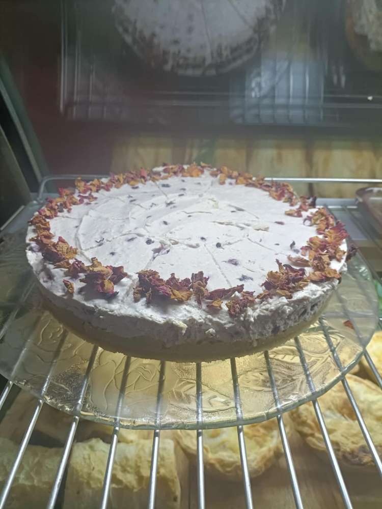 124 Palmerston Street Westport_15