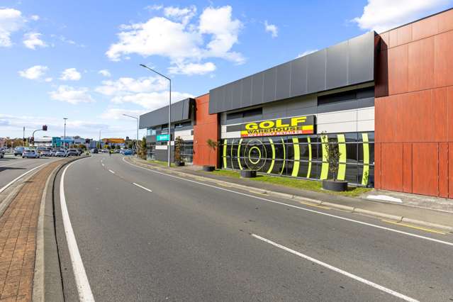65 Blenheim Road Addington_2