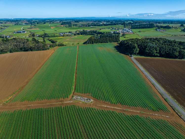292 Waiuku Road Puni_7
