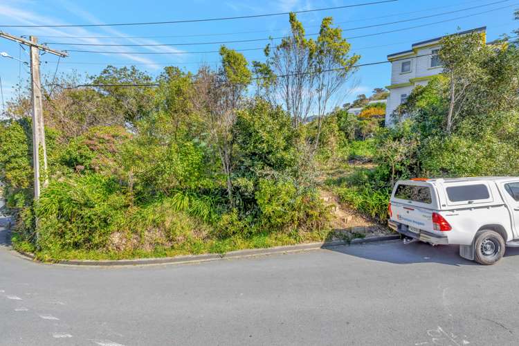 1b Connaught Terrace Brooklyn_2