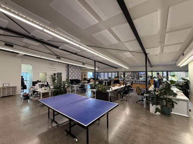 14 McDonald Street Morningside_2