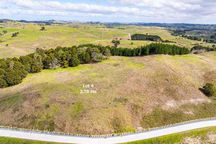 Whakapirau Road Maungaturoto_12