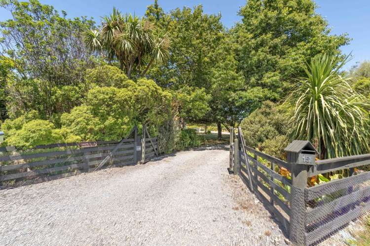 151 Lincoln Road Carterton_30