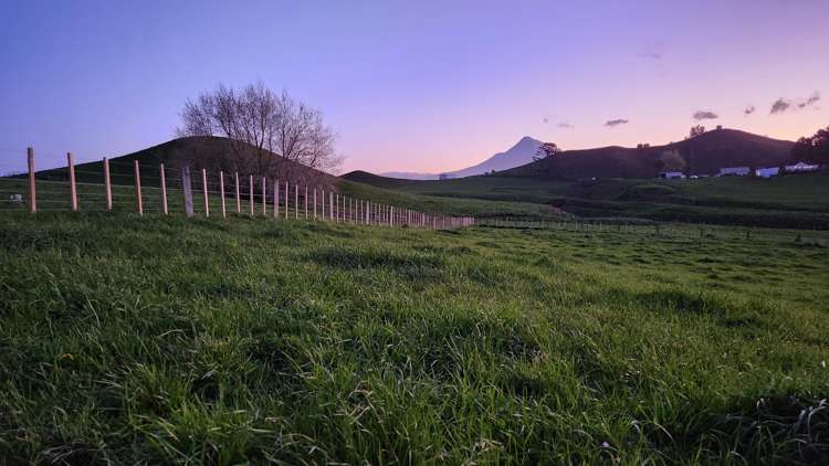 436 Lincoln Road Everett Park_12