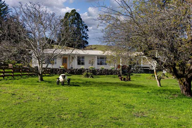 25 Ralston Street Allanton_21