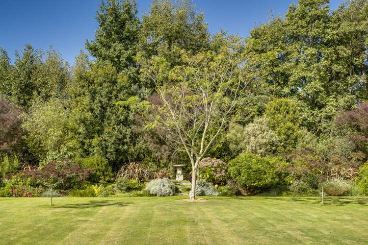 73 McElwee Street Jervoistown_24