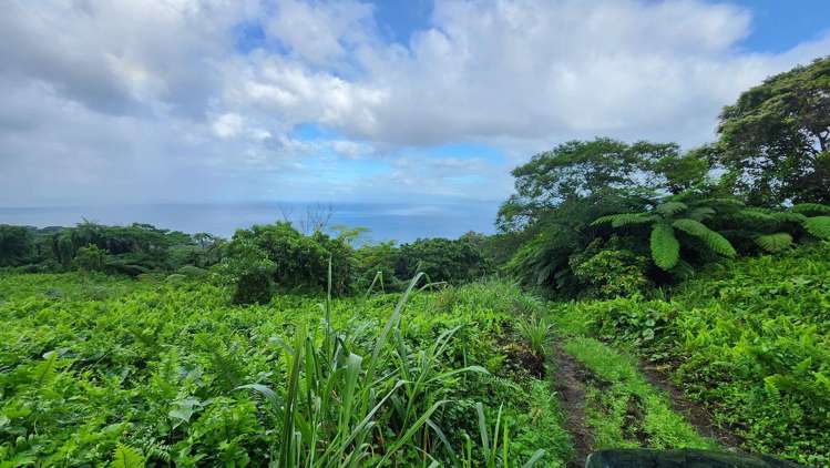 Address withheld Taveuni_7