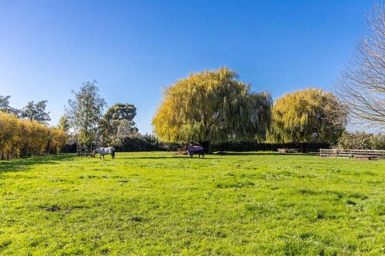 2d Ferry Road Spring Creek_28