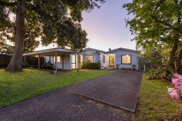 Elevated Character with Tauranga Panorama