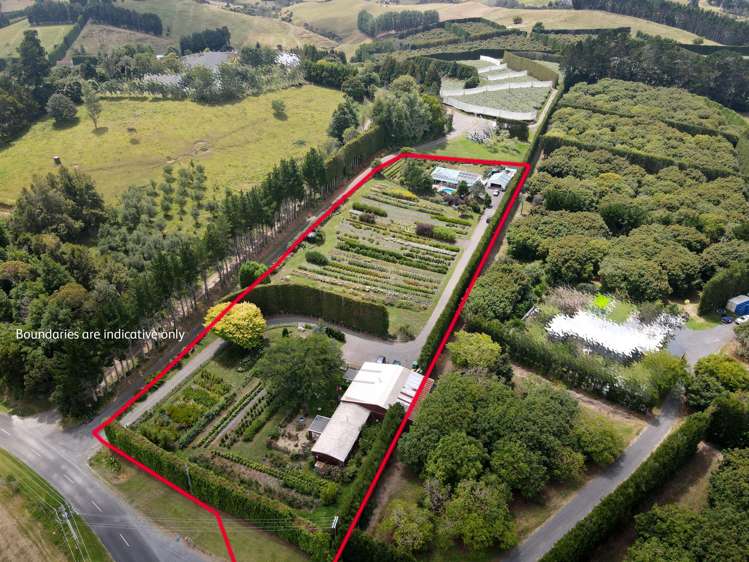 259 Wainui South Road_0