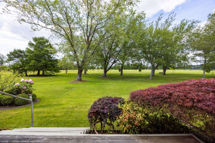 8a Rimmington Drive Hamilton Lake_26