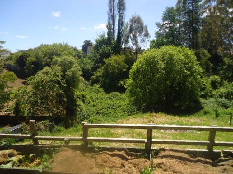 63 Arapuni Street Putaruru_8