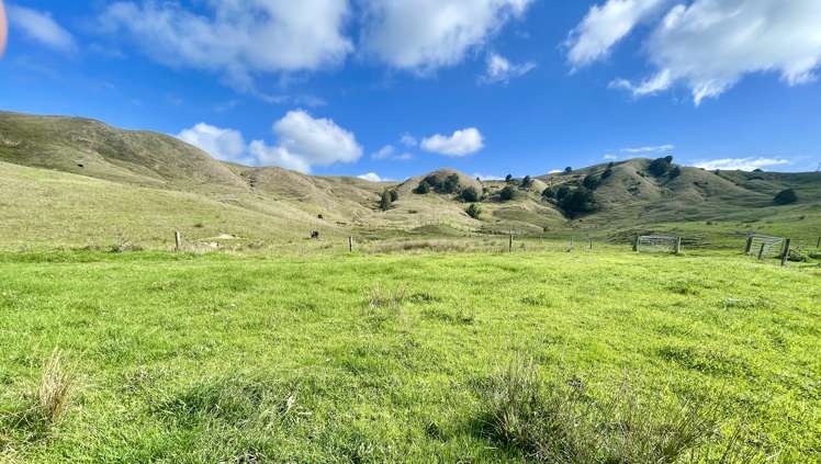 426 Mangarata Block Road Arapohue_6