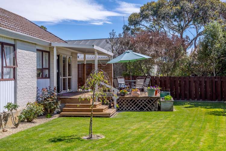 5d Millard Avenue Masterton_4