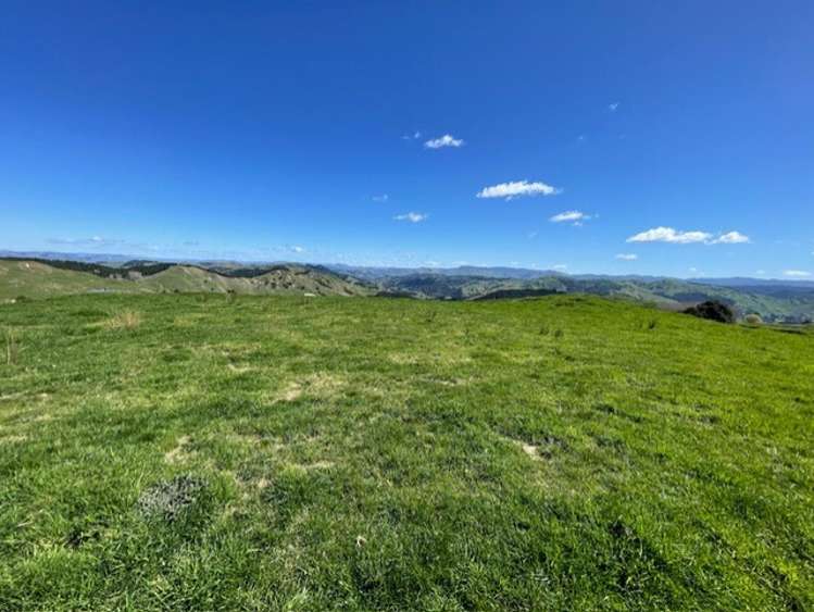 1845 Kanakanaia Road Whatatutu_1