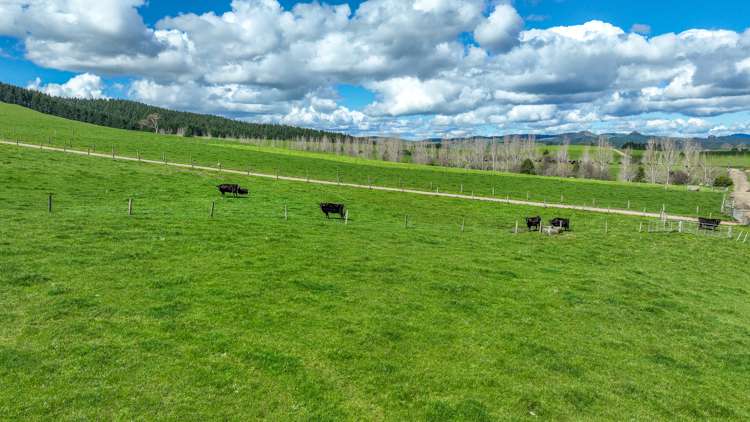 8 Heaven Road Waitakaruru_12