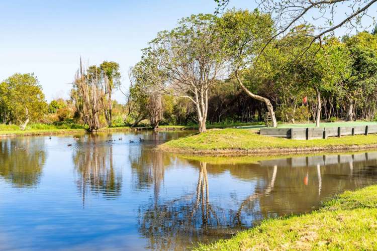 1951 Cove Road Mangawhai_32