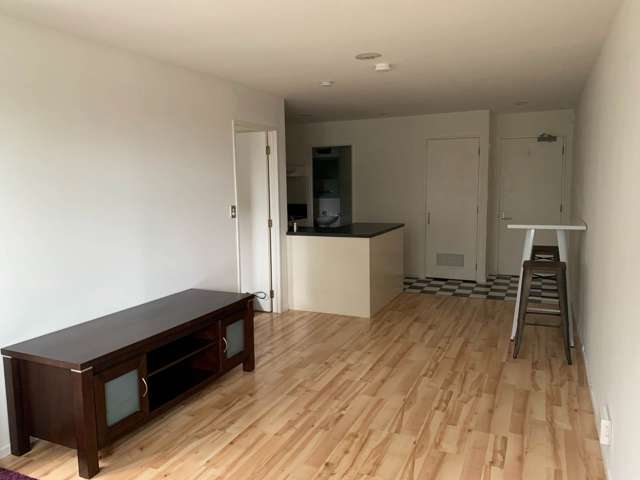 4D/250 Richmond Road Grey Lynn_1