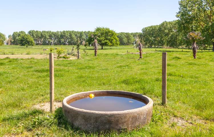 16 Ferry Road Hikutaia_18